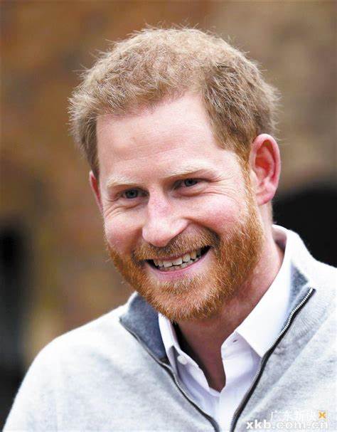 Prince Harry, The Duke of Sussex Talks｜Summary and Q&A